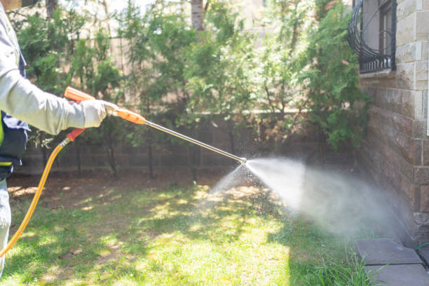 Professional Pest Control in Lamont, CA